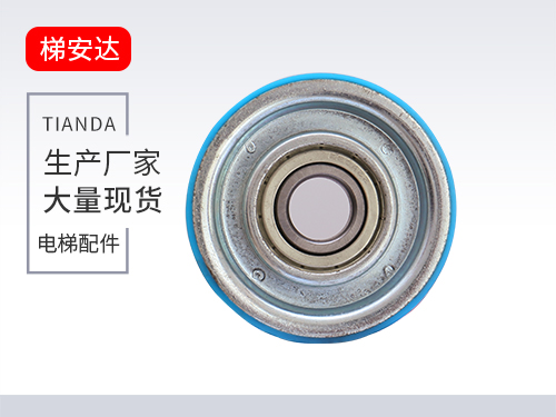 奧的斯(sī)門挂輪